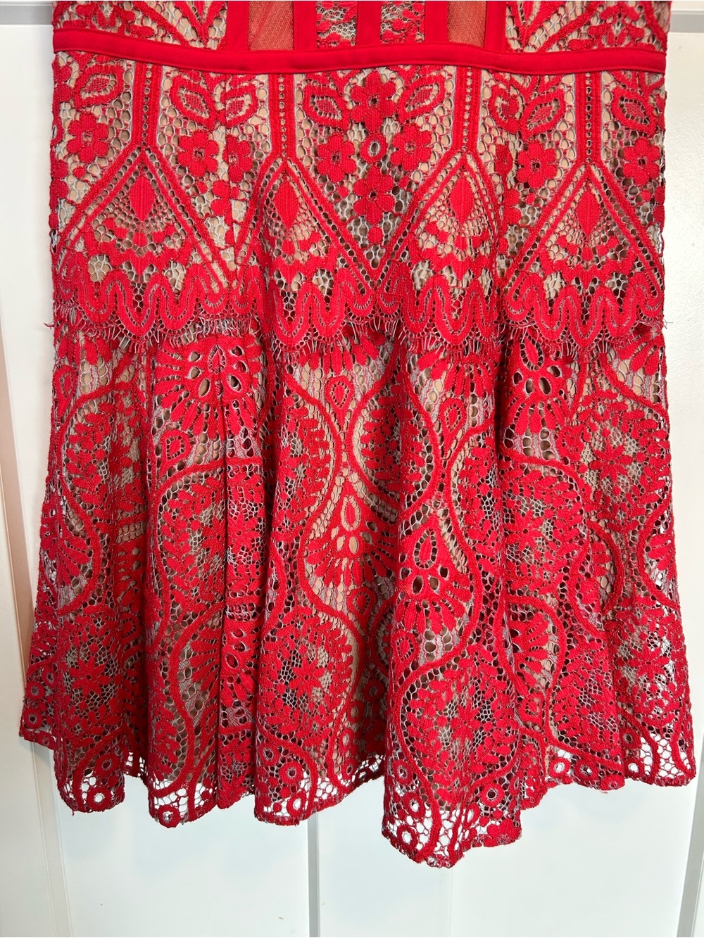 BCBGMAXAZRIA Shira Red Lotus Lace Fit & Flare Mini Dress - Size 4 - Picture 6 of 12
